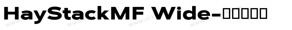 HayStackMF Wide字体转换
